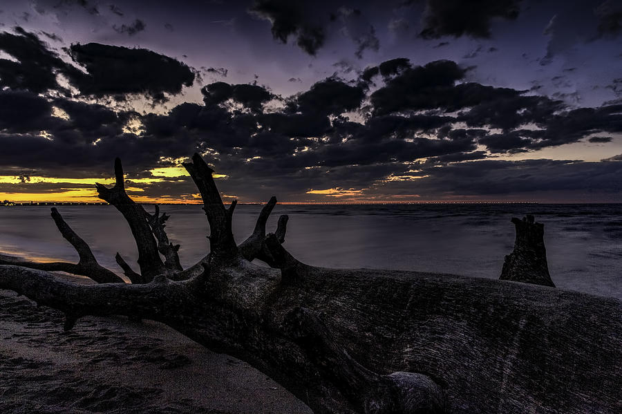 Sunset Photograph - Beach Wood by Pete Federico Sunset Photograph - Beach Wood by Pete Federico