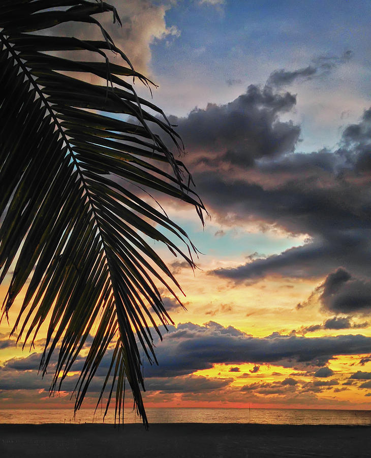 Beach9 Photograph by Joseph Lacy - Fine Art America