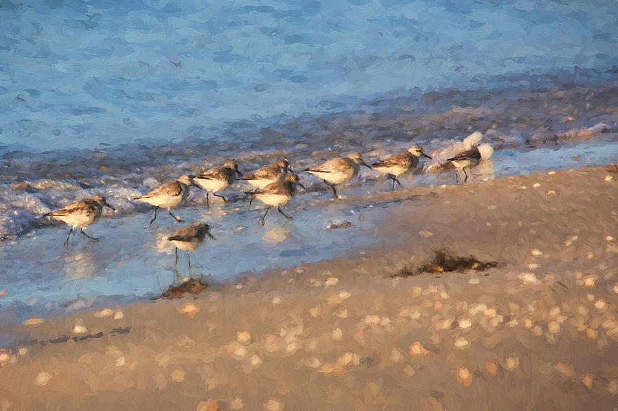 Sandpiper Photograph - Beachcombers - Sandpipers on the Beach by HH Photography of Florida