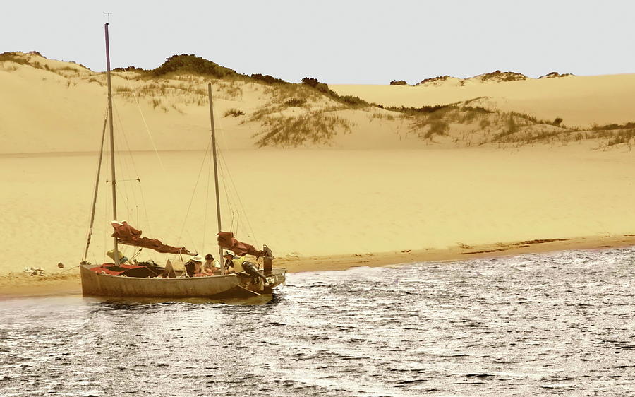 Beached at Coorong Photograph by Tim Richards