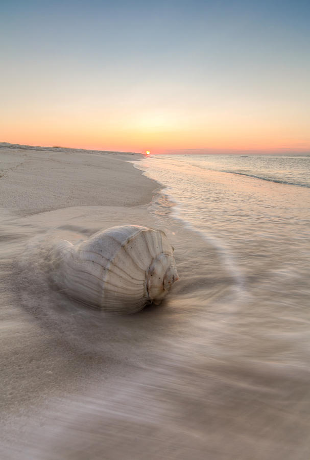 Sunset Photograph - Beached  by Gary Oliver