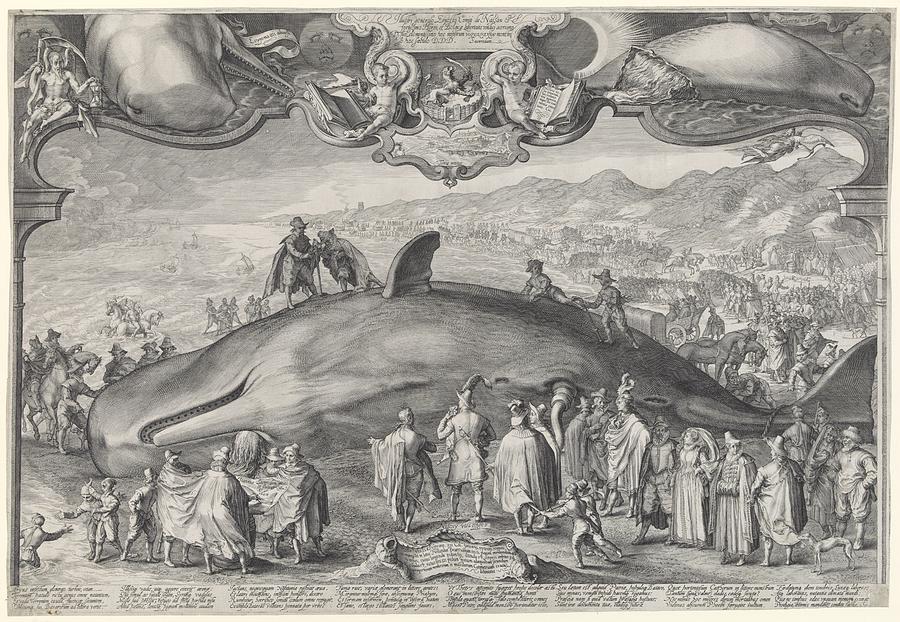 Beached whale in Beverwijk Painting by Celestial Images