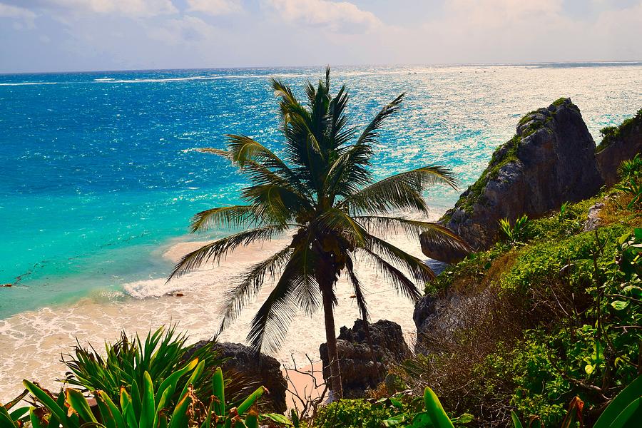 Landscape Photograph - Beaches of Tulum  by Sand Fiddler