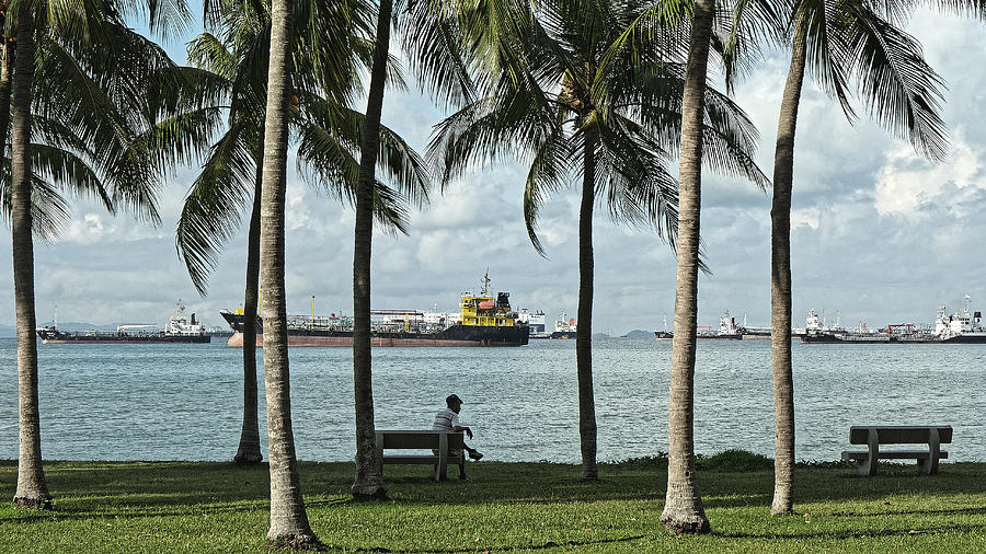 Beachfront park with freighters, Singapore 2014 by Chris Honeyman Beachfront park with freighters, Singapore 2014 by Chris Honeyman