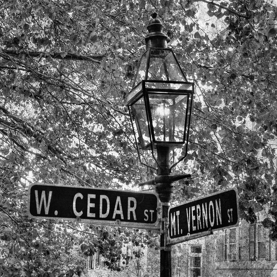 Beacon Hill Lamppost in Black and White Photograph by Joann Vitali