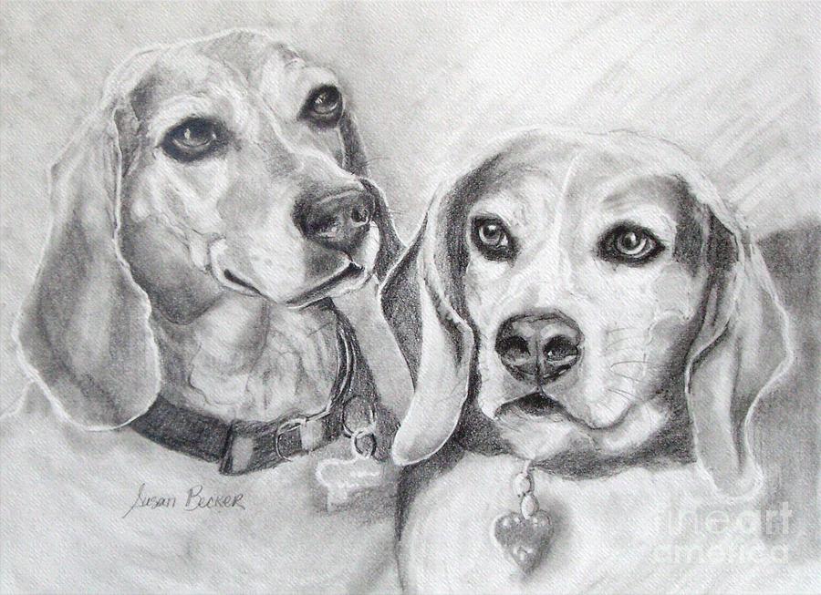 Beagle Boys Drawing by Susan A Becker