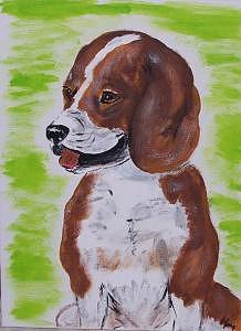 Beagle Painting - Beagle by Kathy Young
