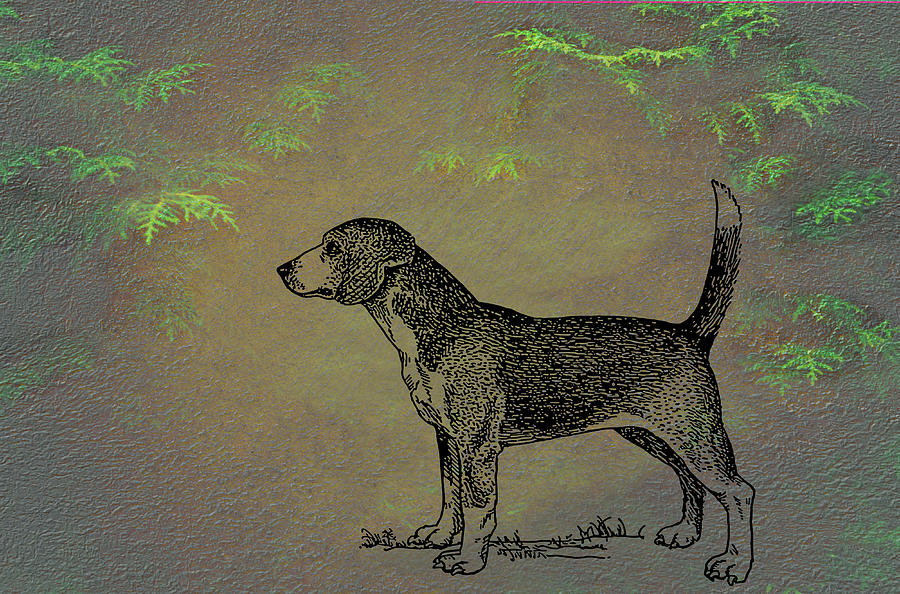 Beagle Mixed Media by Movie Poster Prints