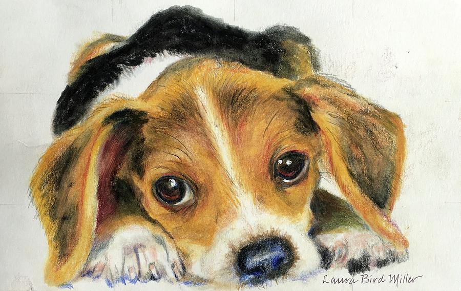 Beagle Pup Painting