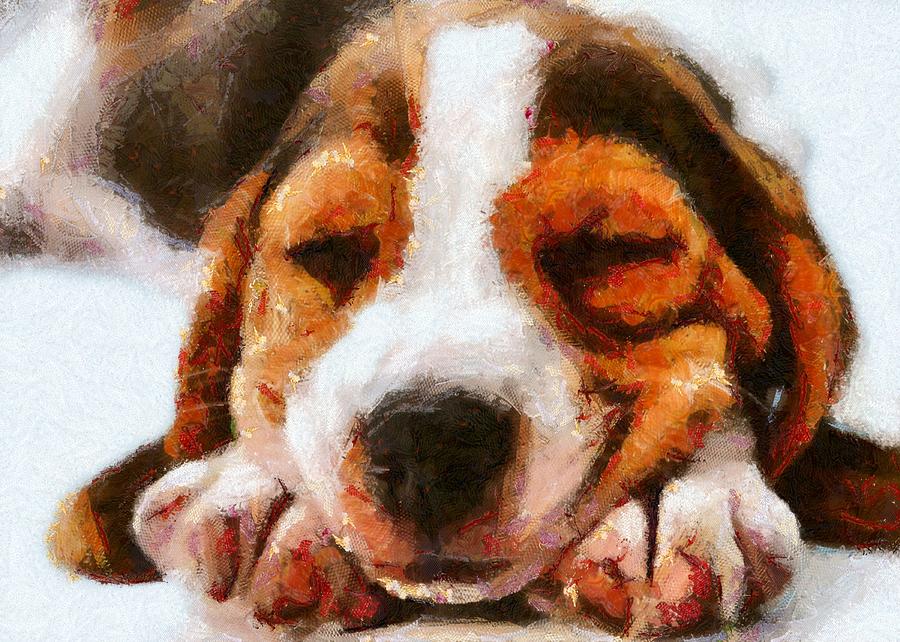 Beagle Puppy Digital Art by Charmaine Zoe