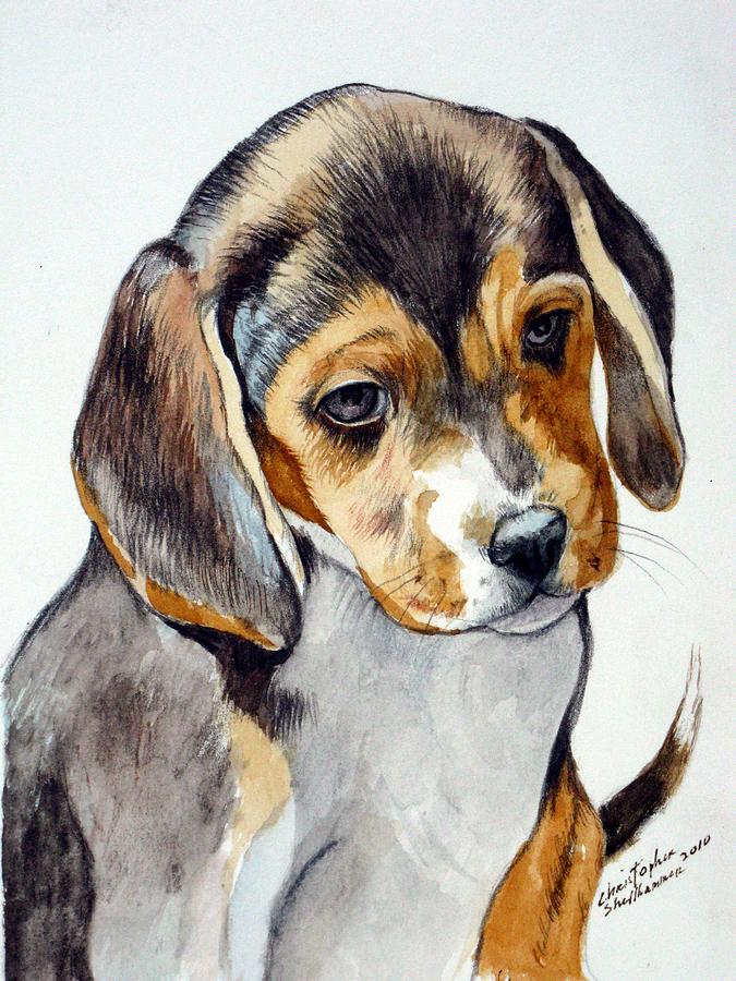 Beagle puppy Painting by Christopher Shellhammer