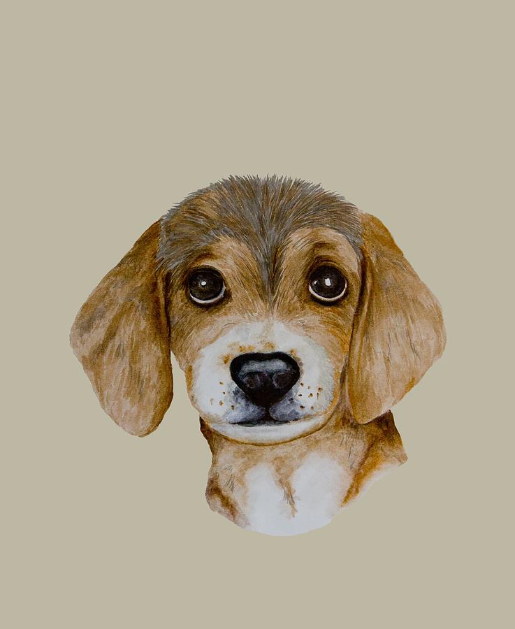 Beagle puppy Drawing by John Stuart Webbstock