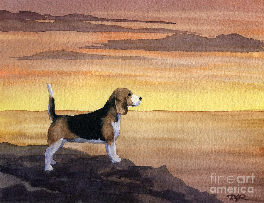 Sunset Painting - Beagle Sunset by David Rogers