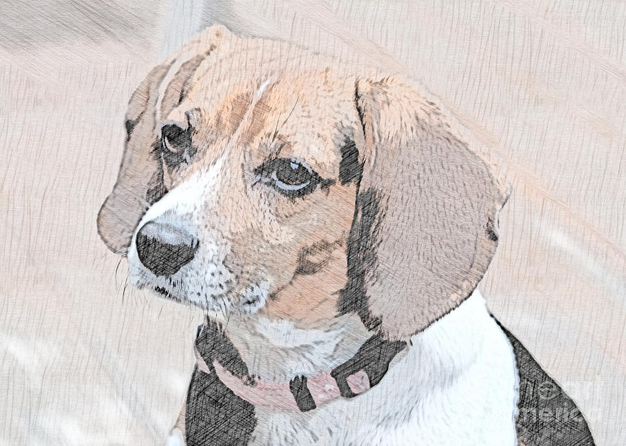 Beagles are the Cutest Digital Art by Sherry Hallemeier