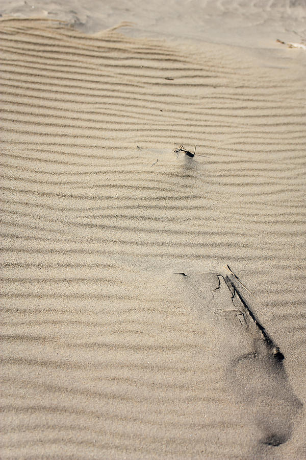Beam in the Sand 2 Photograph by Joni Eskridge