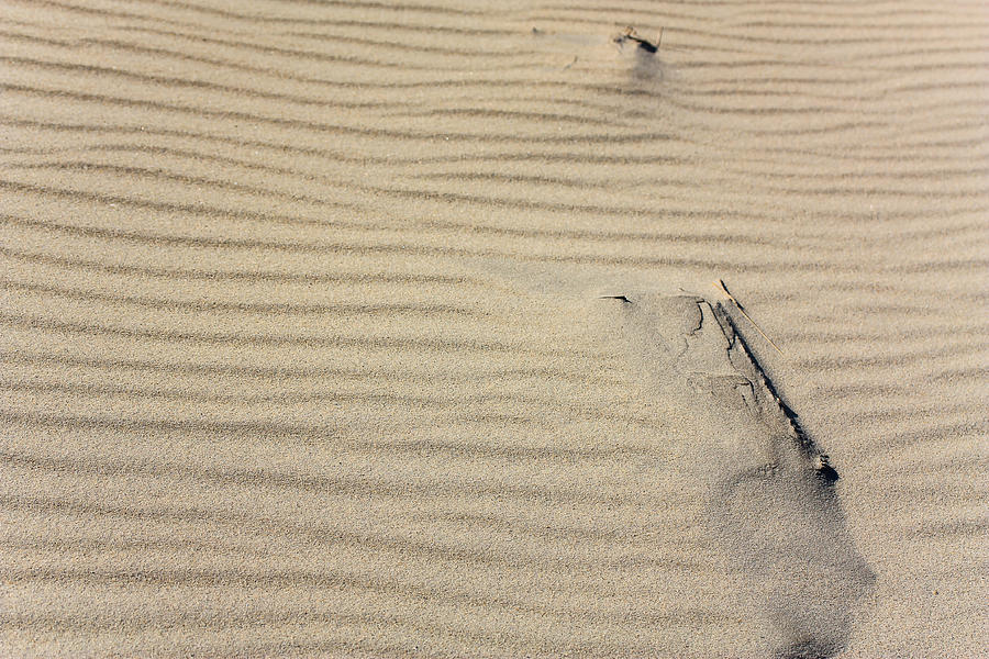 Beam in the Sand Photograph by Joni Eskridge