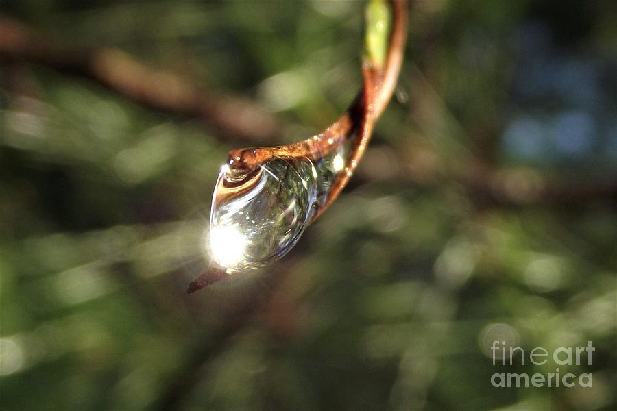 Beam Of Light In A Drop Of Water Photograph