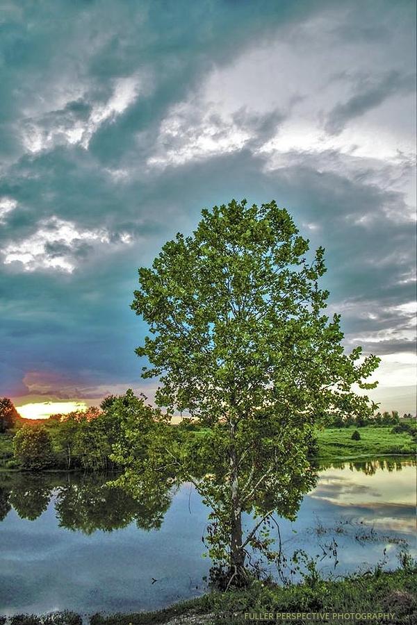 Bean Road Photograph By Chad Fuller - Fine Art America