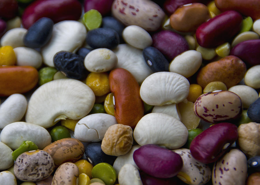Beans Of Many Colors Photograph