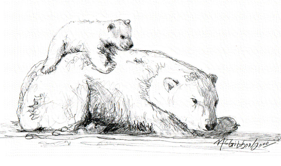Bear And Cub Drawing By Dan Mcgibbon