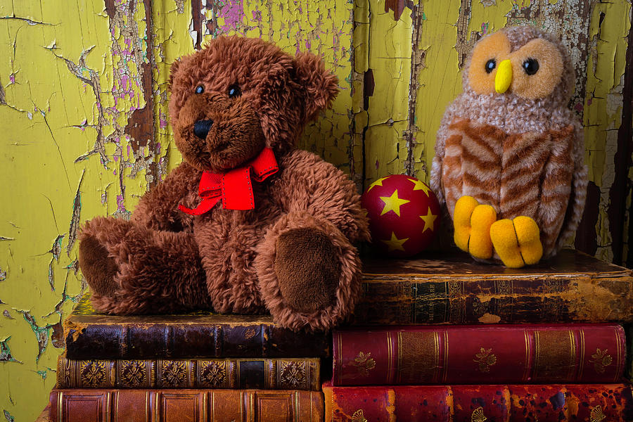 Bear And Owl On Old Books Photograph by Garry Gay