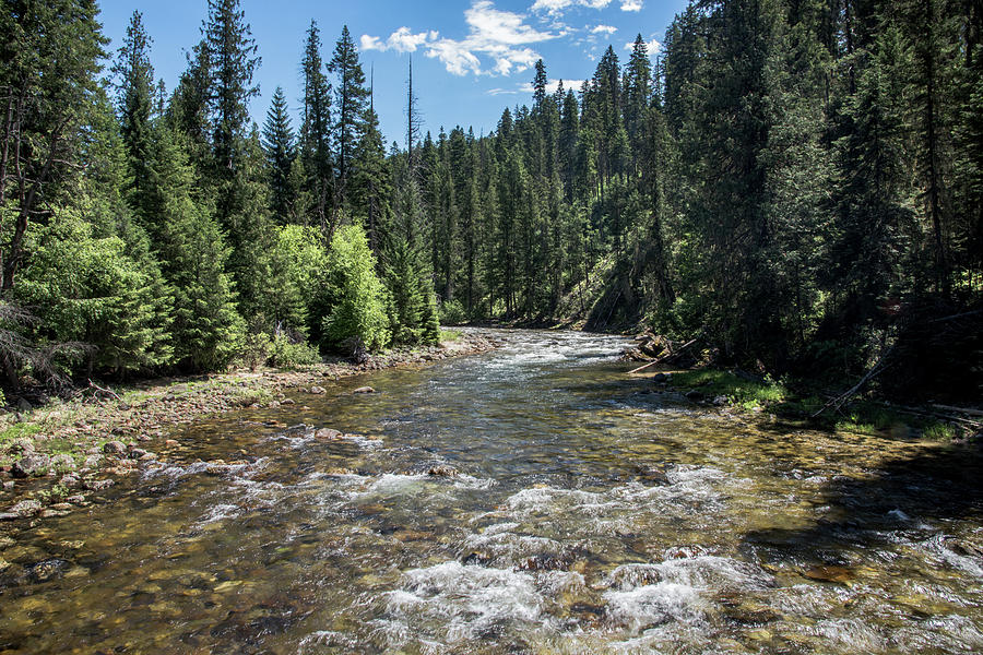 Bear Creek a Selway tributary Photograph by Link Jackson - Fine Art America