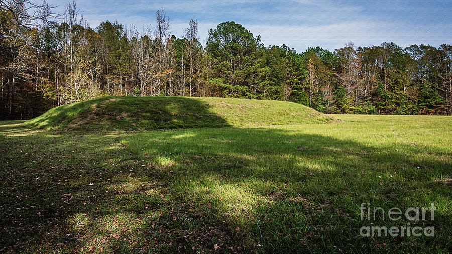 Bear Creek Mound - Natchez Trace Photograph by Debra Martz