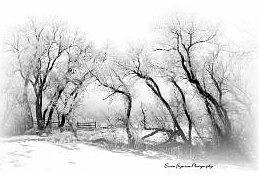 Winter Photograph - Bear Creek Park by Ernie Ferguson Winter Photograph - Bear Creek Park by Ernie Ferguson
