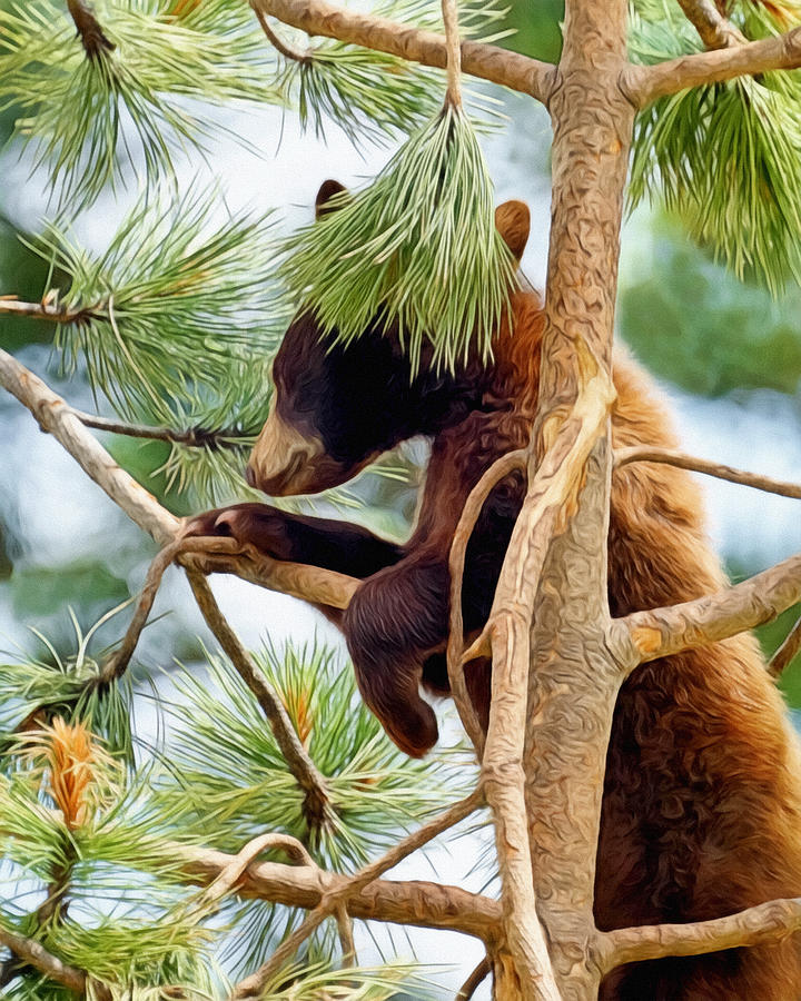 Bear Cub Playing in a Tree Digital Art by Ernest Echols