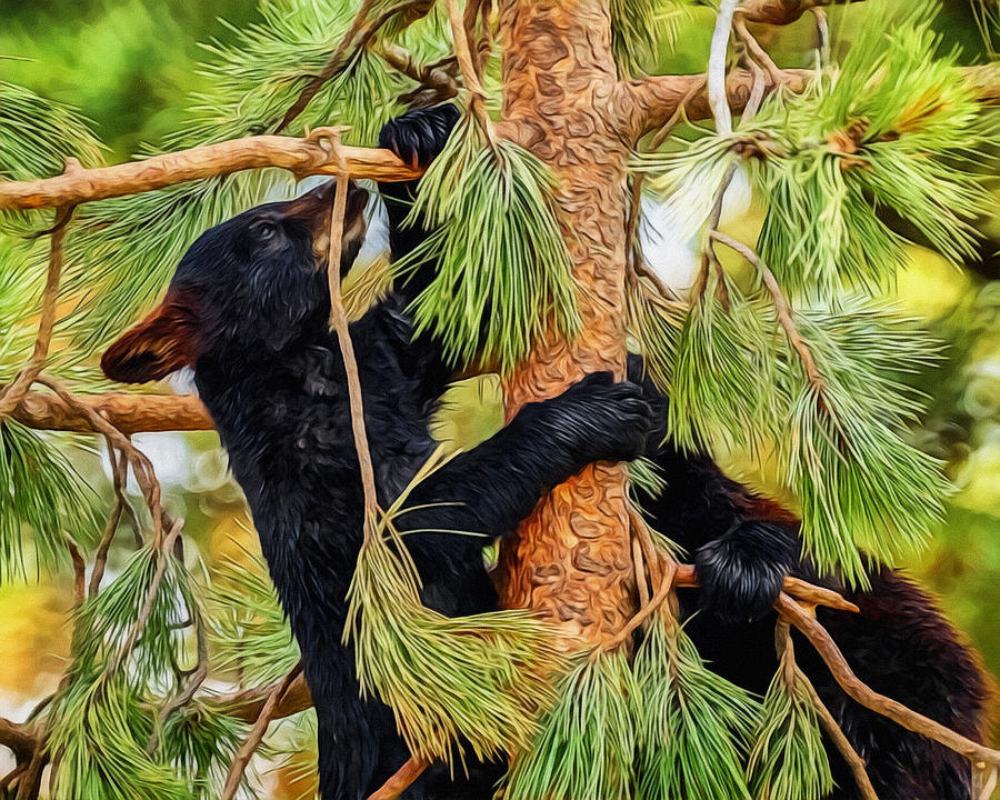 Bear Cubs Playing in a Tree Digital Art by Ernest Echols
