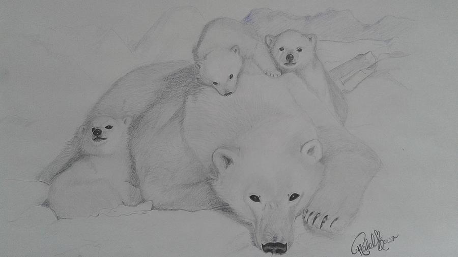 Bear family Drawing by Drawing Cowgirl - Fine Art America