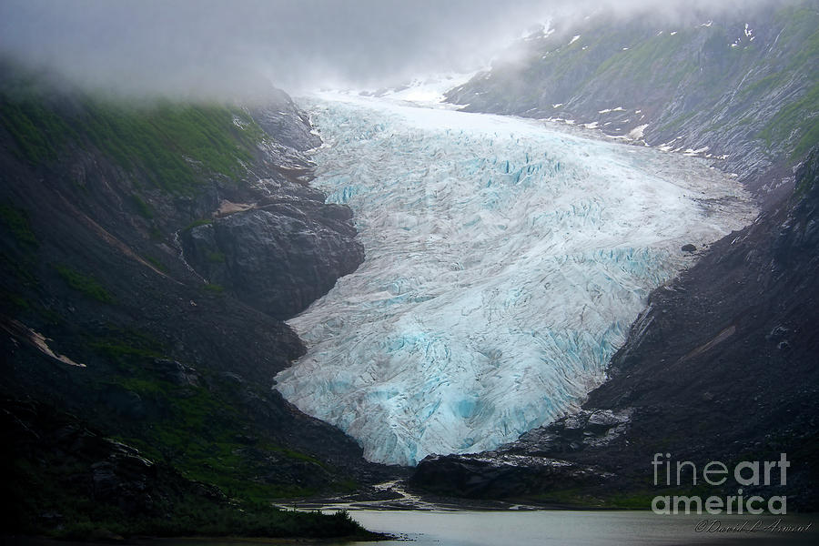 Bear Glacier Photograph by David Arment