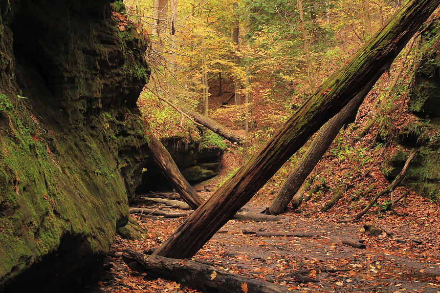 Bear Hollow in Autumn 2 Photograph by Greg Matchick - Fine Art America