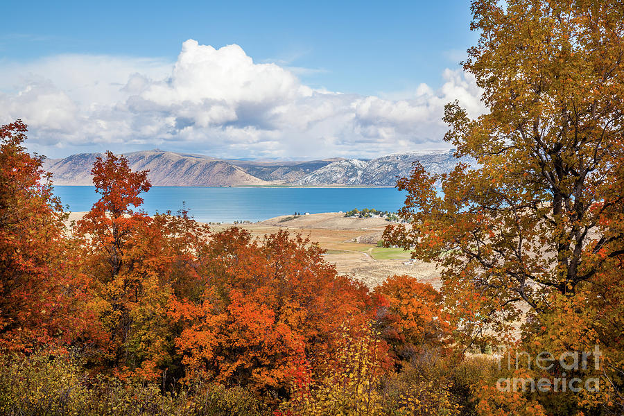 Bear Lake in the Fall Photograph by Bret Barton