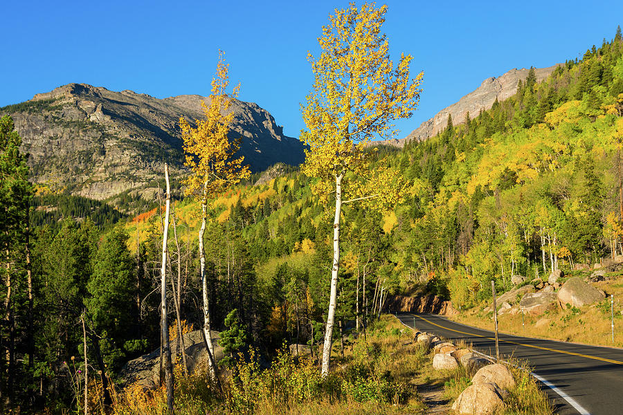 Bear Lake Road In Fall Photograph by John De Bord