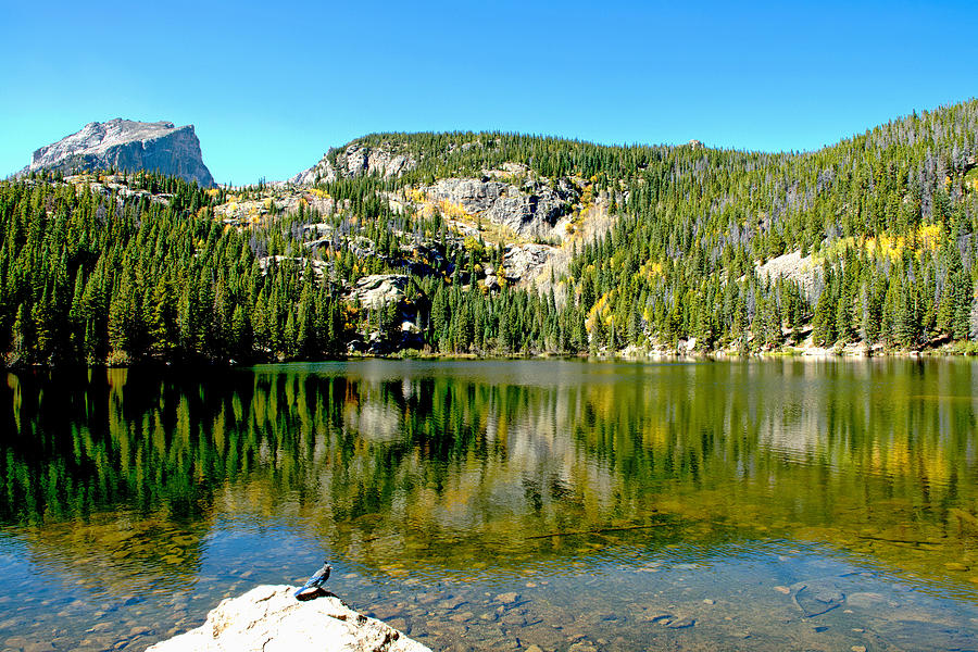 Bear Lake - Rocky Mountain National Park Photograph by Joseph Hendrix