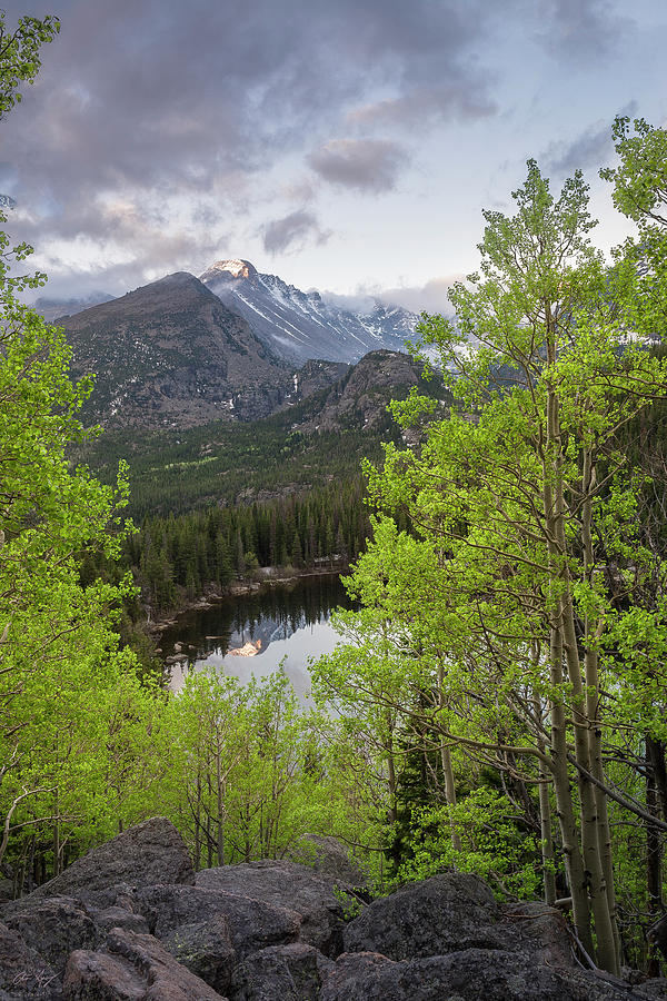 Rocky Mountain National Park Photograph - Bear Lake Spring by Aaron Spong
