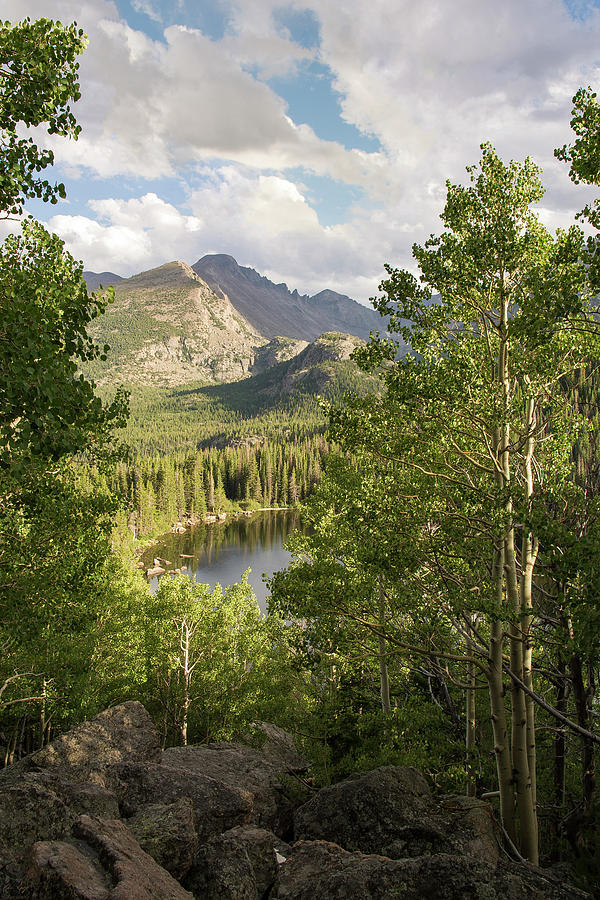 Bear Lake Summer Photograph by Aaron Spong