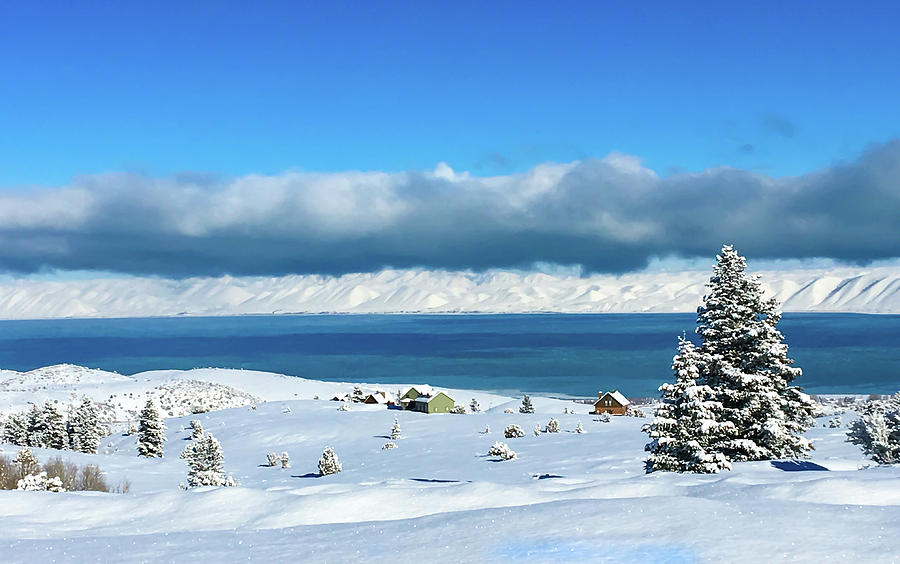 Landscape Photograph - Bear Lake Winter Glory by Dee Johnson