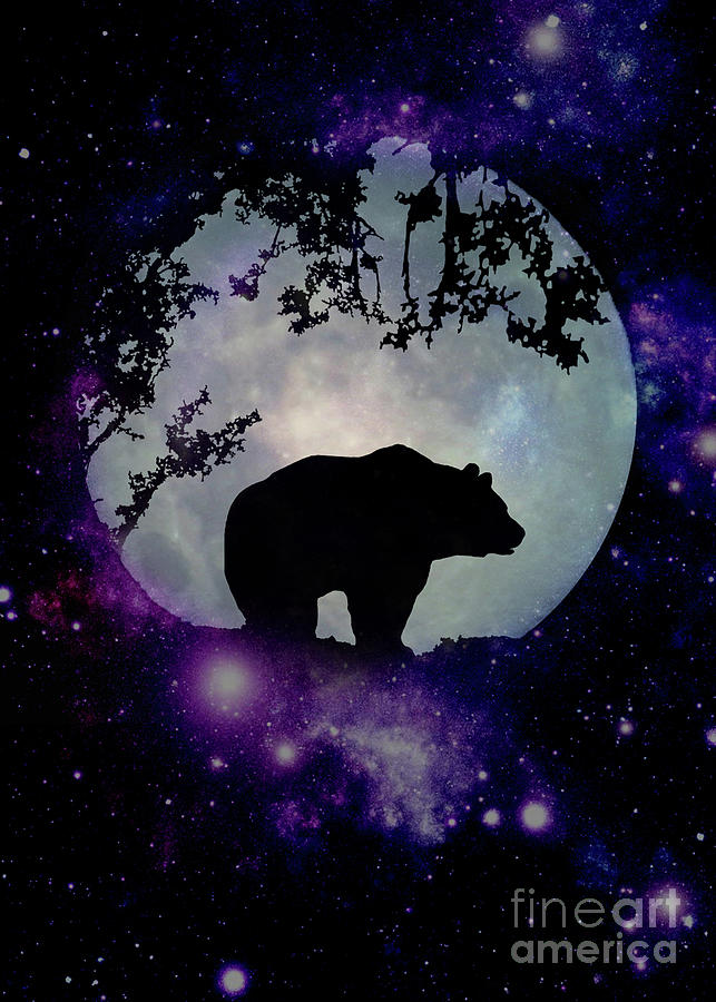Bear, Moon and Universe Photograph by Stephanie Laird