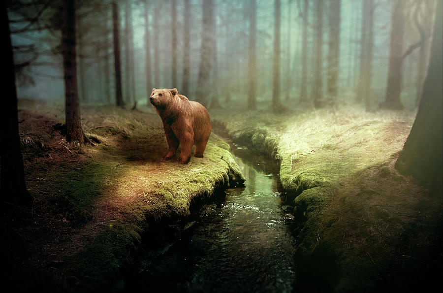 Bear Mountain Fantasy Mixed Media by Movie Poster Prints