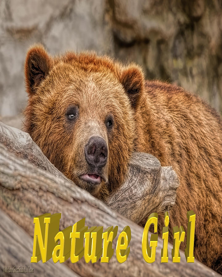 Bear Nature Girl Photograph by LeeAnn McLaneGoetz McLaneGoetzStudioLLCcom