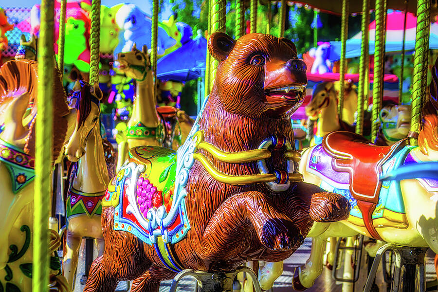 Bear Ride Photograph by Garry Gay