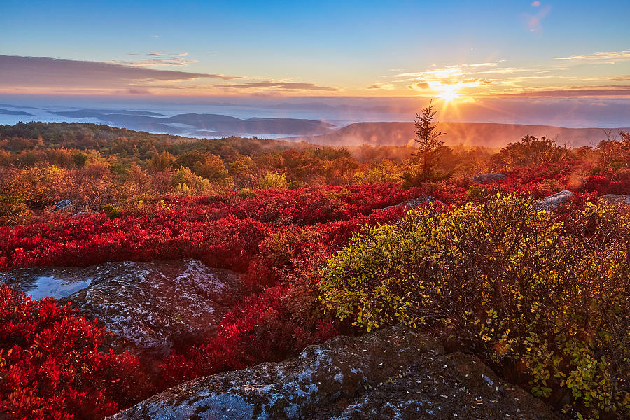 Fall Photograph - Bear Rocks Autumn Sunrise  by Brian Simpson