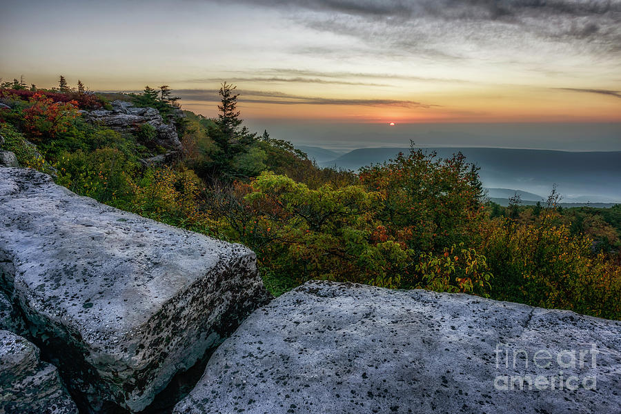 Autumn Sunrise At Dolly Sods Photograph by Jaki Miller