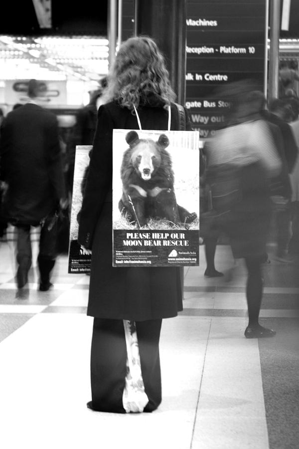 London Photograph - Bear Rush 3 by Jez C Self