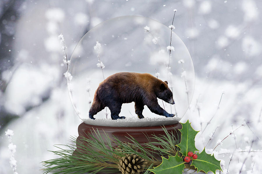 Bear Snow Globe Photograph by Steph Gabler