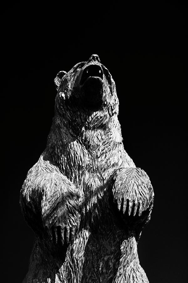 Bear Ucluelet Photograph by Brian Sereda
