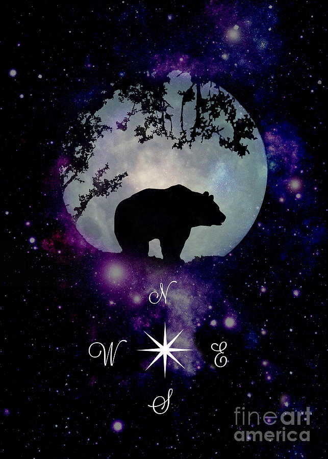 Bear Universe Compass Photograph by Stephanie Laird
