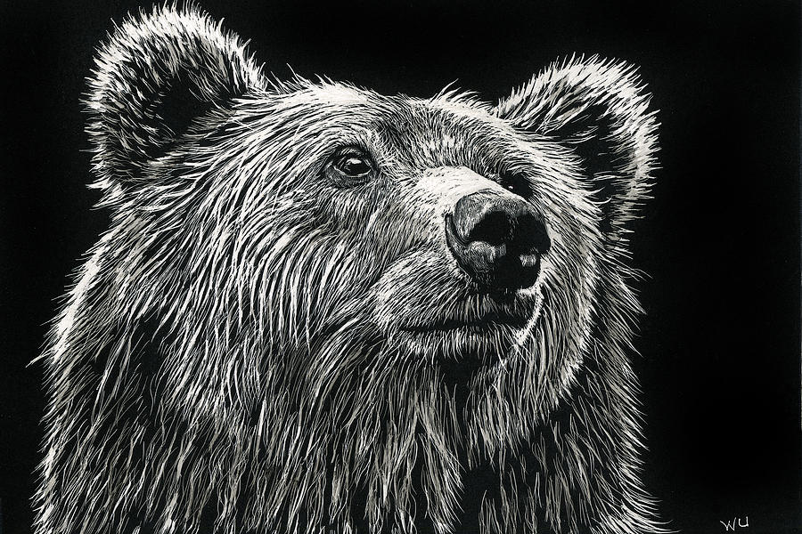 Bear Scratch Photo Gallery